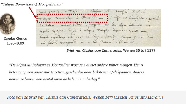Brief van Clusius over tulp bron WUR