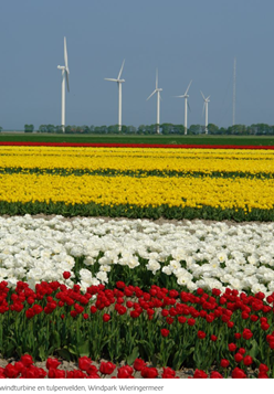 windturbines in de Wieringermeer bron provincie Noord Holland